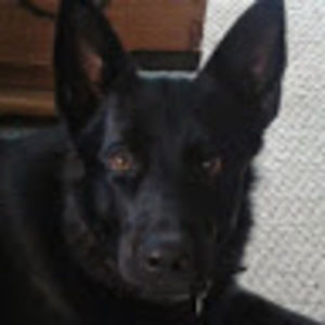 Meet your Posher, Caden